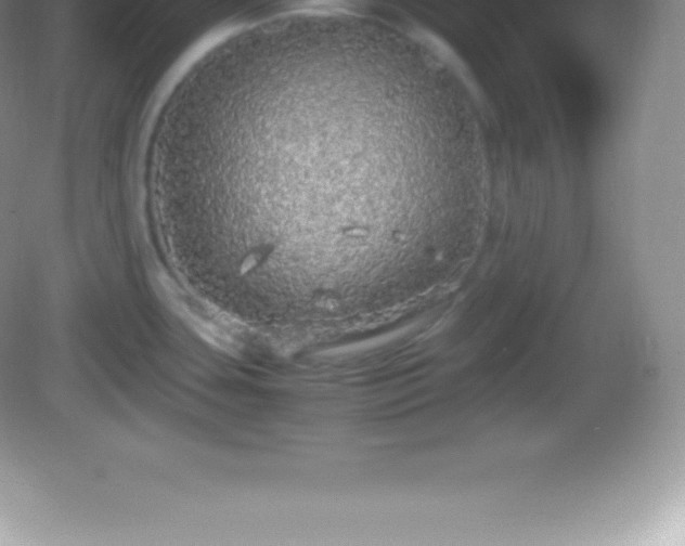 X0000082691435200702021316