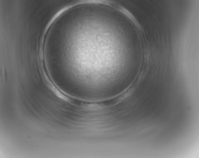 X0000082691436200702021316