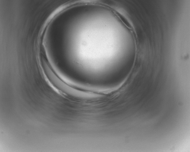X0000082691437200702021316