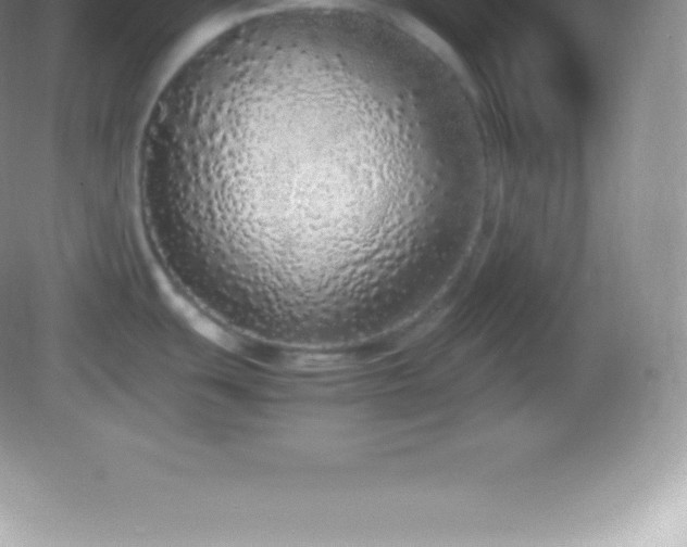 X0000082691439200702021316