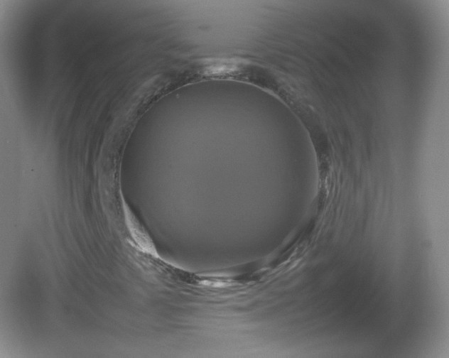 X0000082691441200702021315