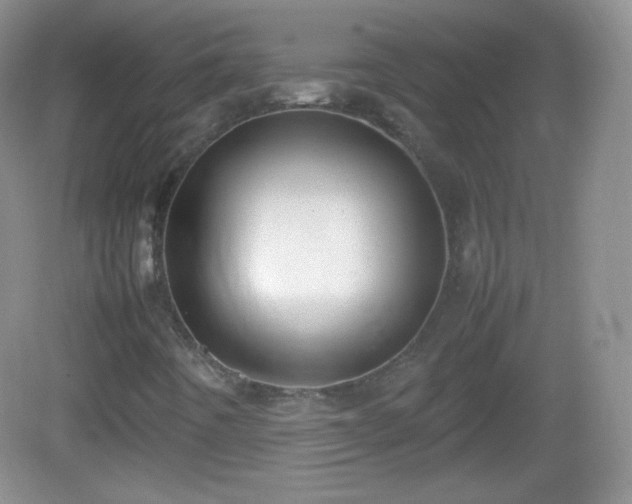 X0000082691442200702021315