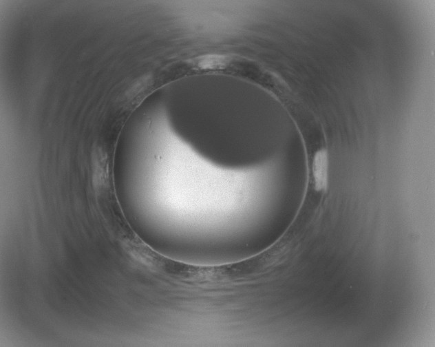 X0000082691443200702021315