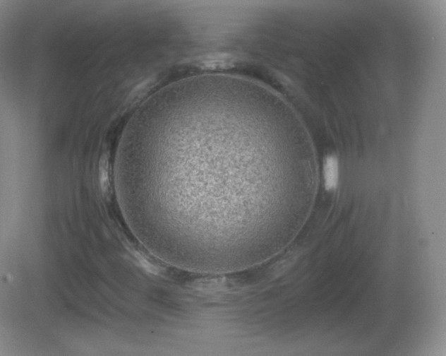 X0000082691444200702021315