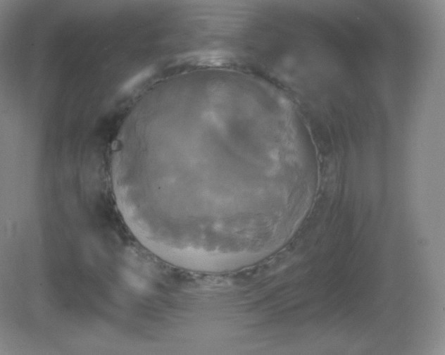 X0000082691446200702021315