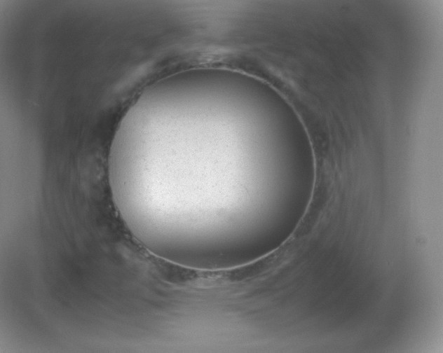 X0000082691447200702021315