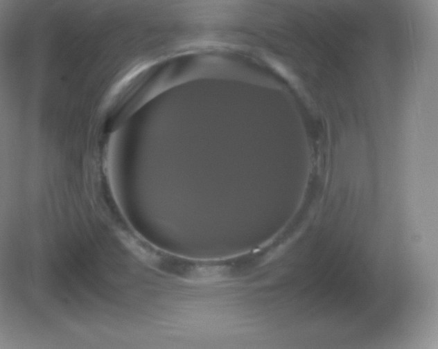 X0000082691453200702021315