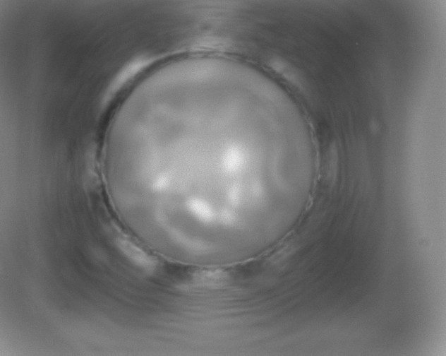 X0000082691454200702021315