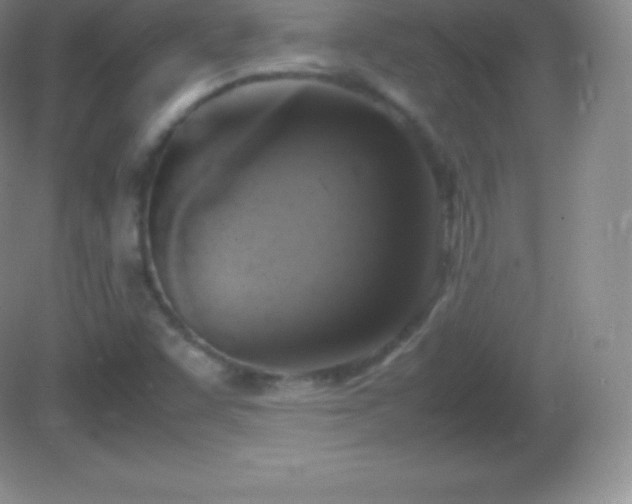X0000082691455200702021315
