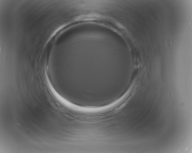 X0000082691457200702021315