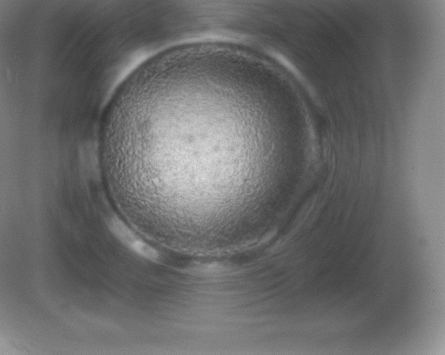 X0000082691460200702021315