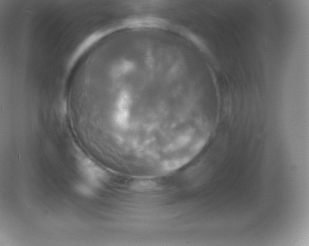 X0000082691462200702021315