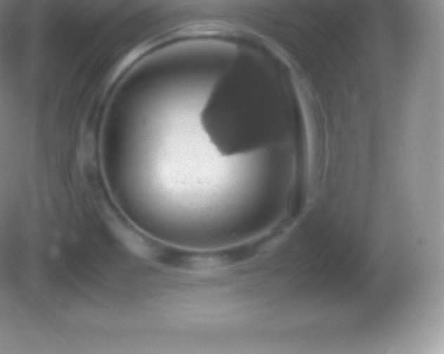 X0000082691465200702021315