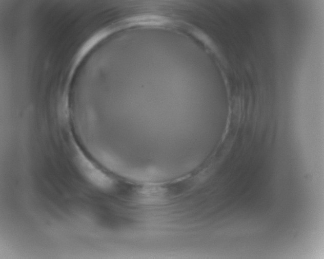 X0000082691466200702021315