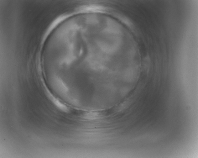 X0000082691470200702021315