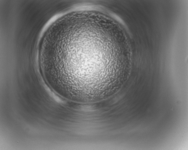 X0000082691472200702021314