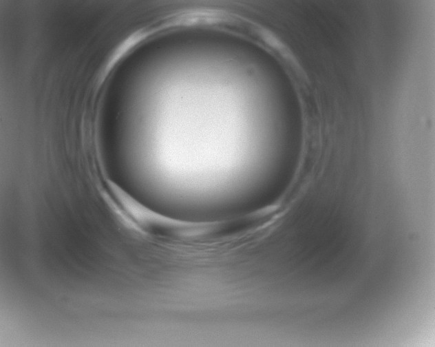 X0000082691473200702021314