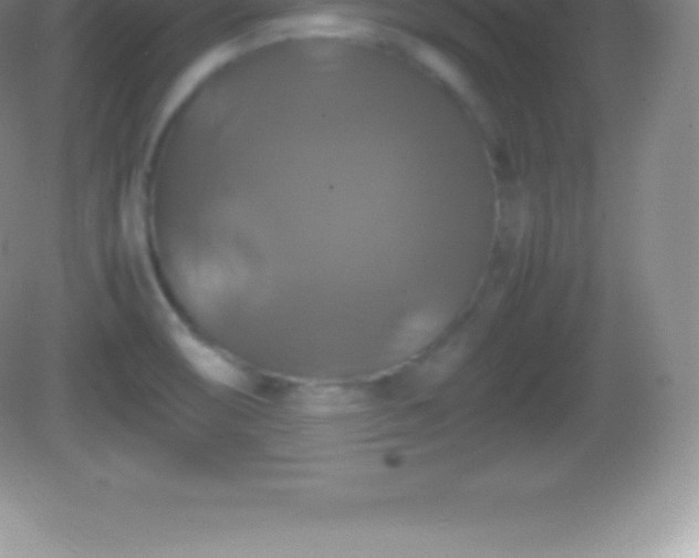 X0000082691474200702021314