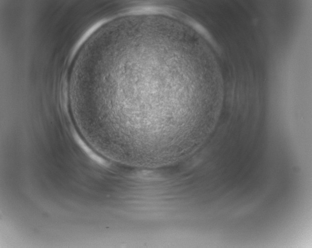 X0000082691476200702021314