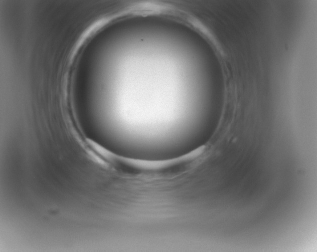 X0000082691477200702021314