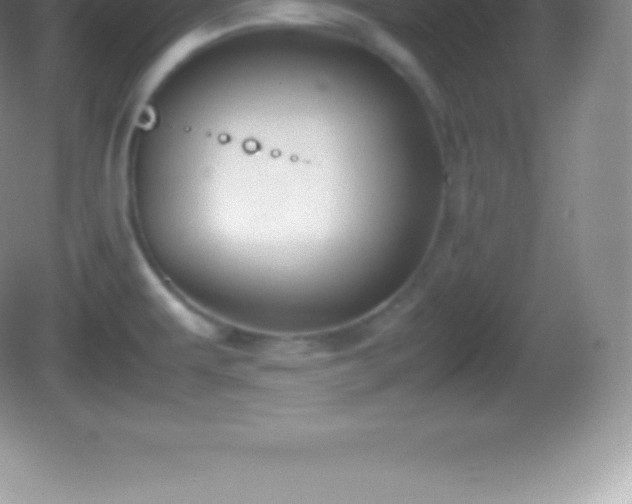 X0000082691479200702021314
