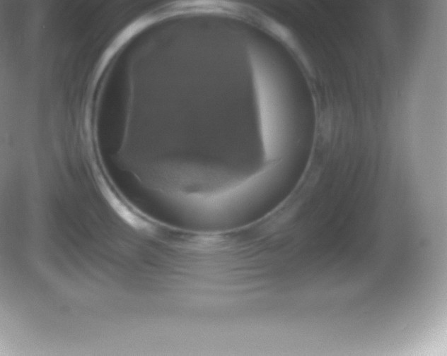 X0000082691482200702021314