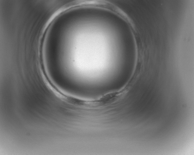 X0000082691483200702021314