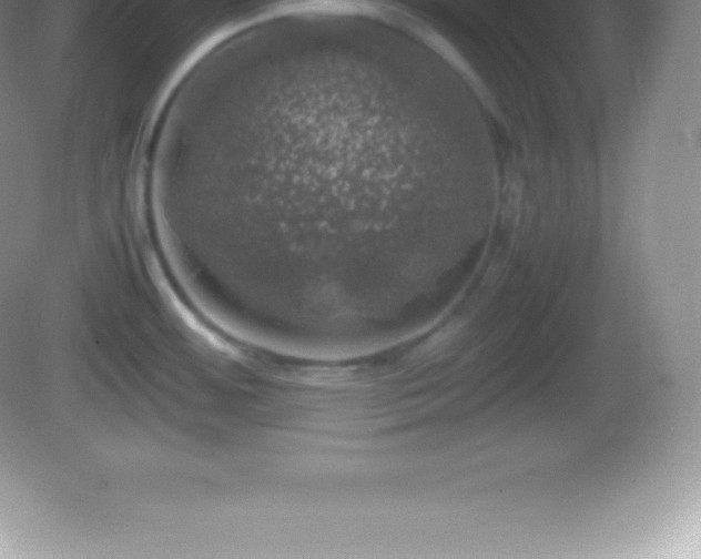 X0000082691484200702021314