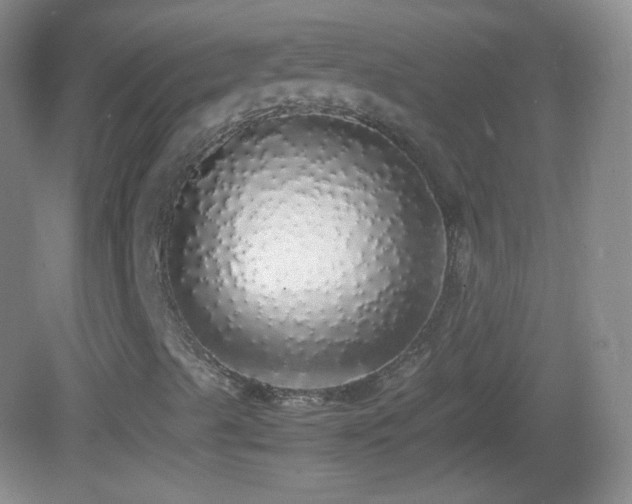X0000082691489200702021313