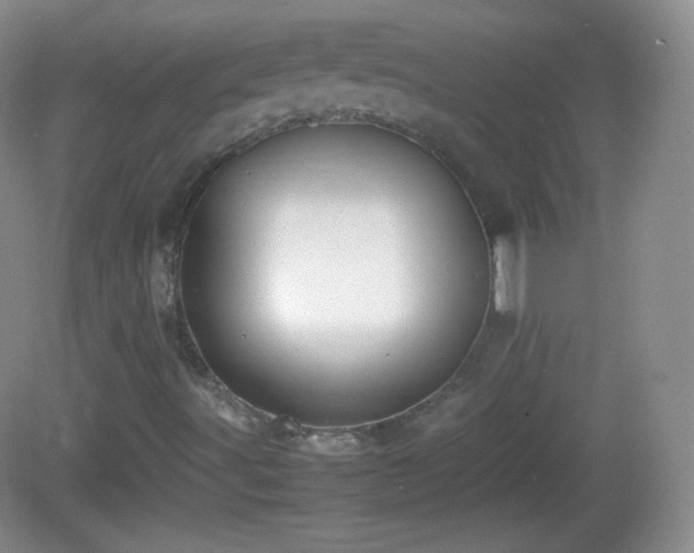 X0000082691491200702021313