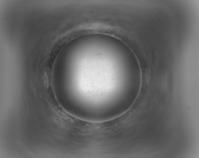 X0000082691493200702021313