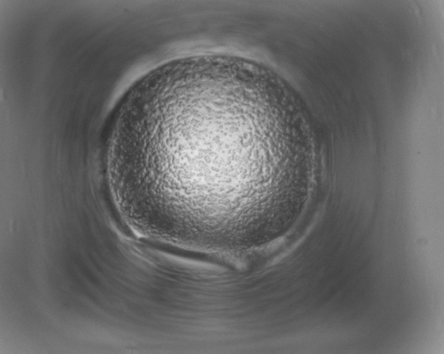 X0000082691501200702021314