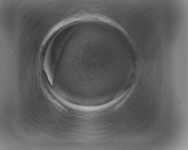 X0000082691506200702021314