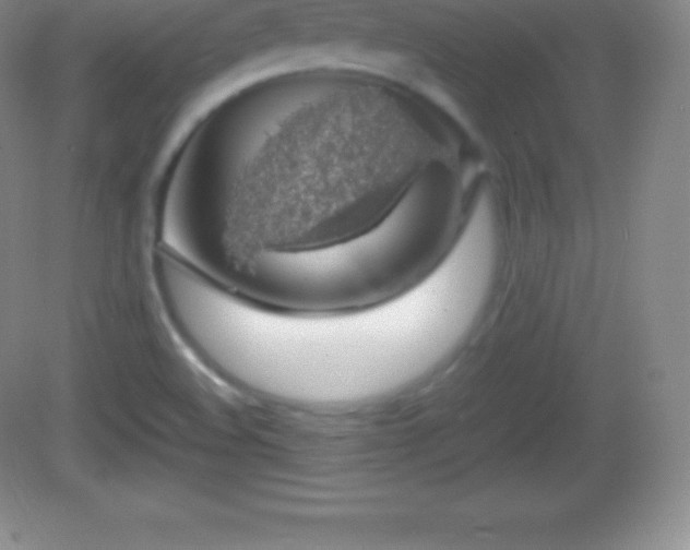 X0000082691508200702021314