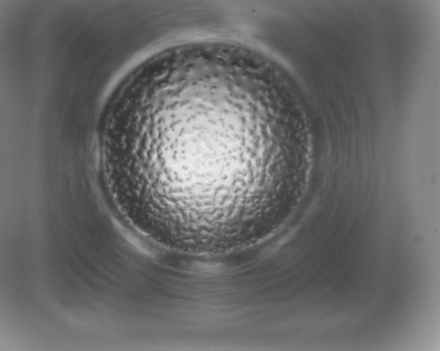X0000082691509200702021314