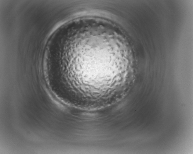 X0000082691513200702021314