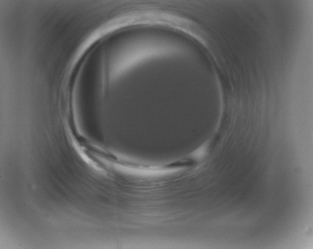 X0000082691515200702021314
