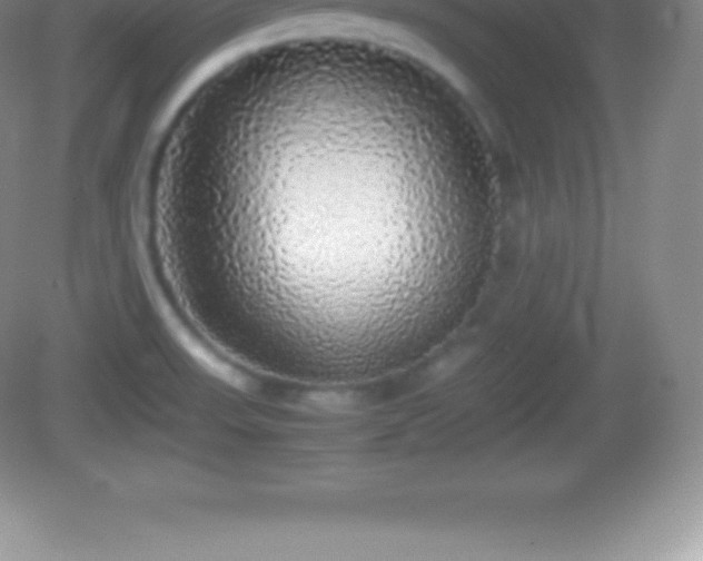 X0000082691523200702021314