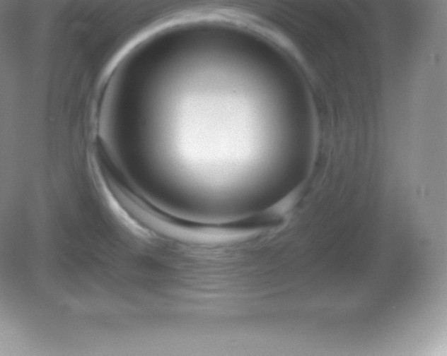 X0000082691524200702021314