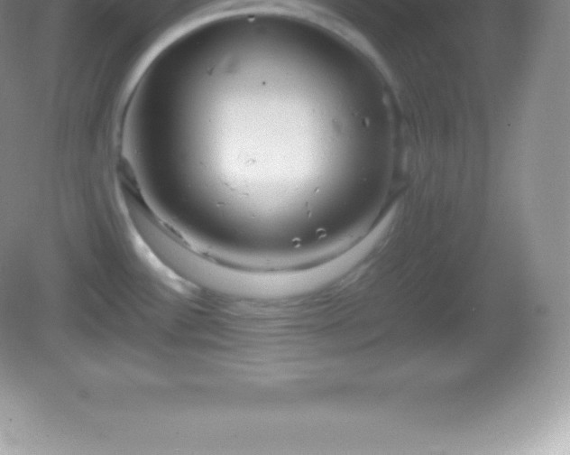 X0000082691532200702021314
