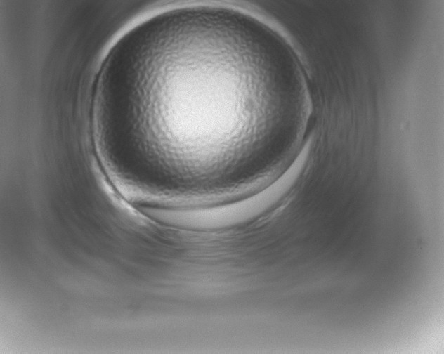 X0000082691534200702021314