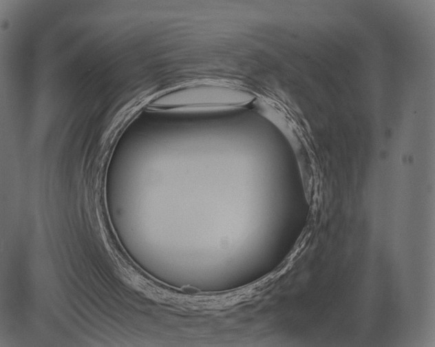 X0000082690001200702091709