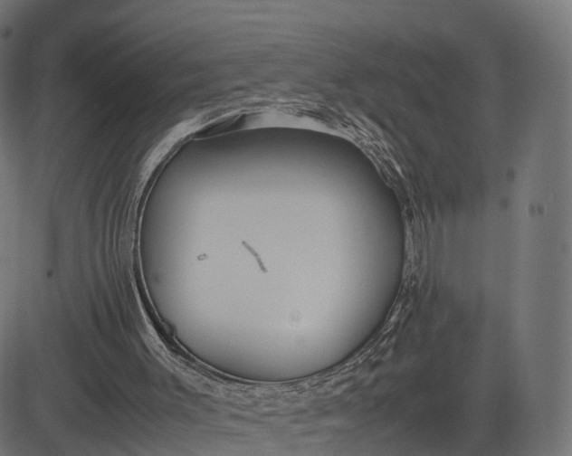 X0000082690003200702091709