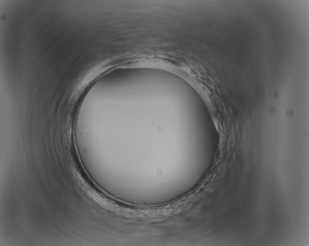 X0000082690005200702091709