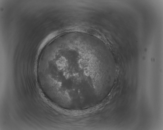 X0000082690006200702091709