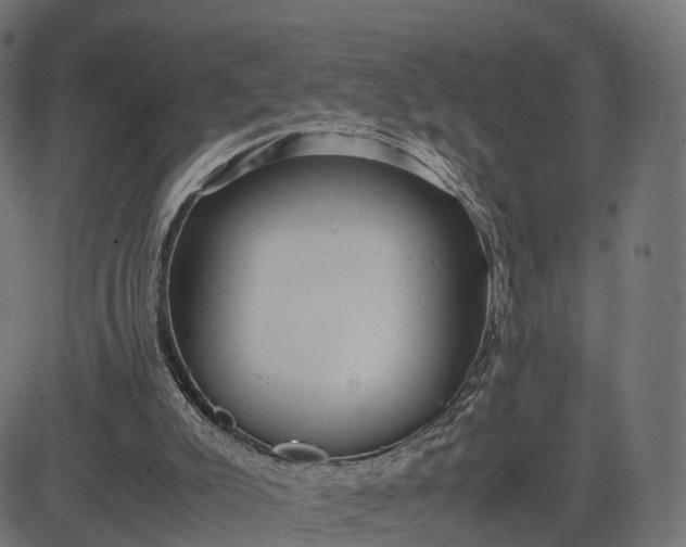 X0000082690007200702091709