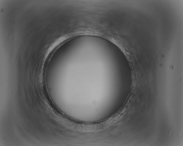 X0000082690008200702091709