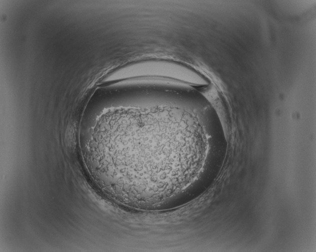 X0000082690009200702091709