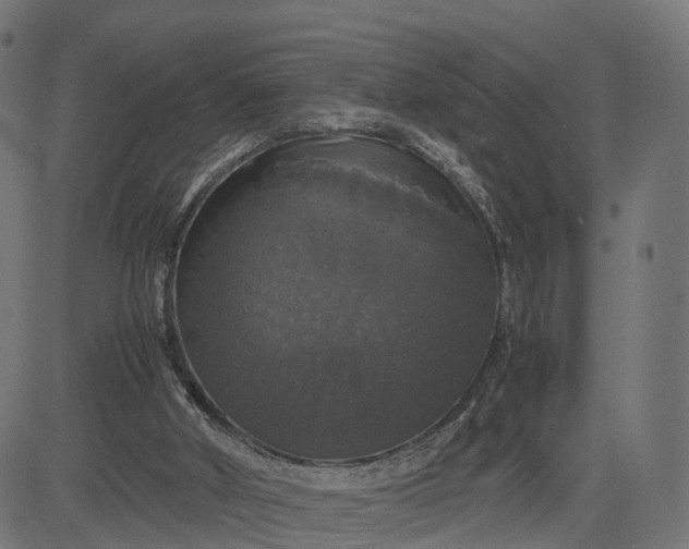 X0000082690010200702091709