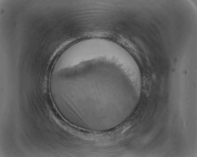 X0000082690012200702091709